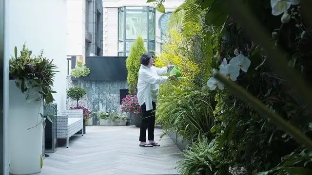 梦想退休生活 | 五个姐妹的丽江抱团养老房-124