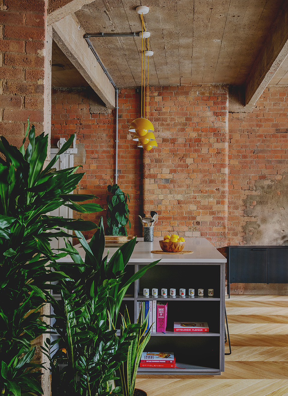 圣约翰街公寓丨英国伦敦丨Emil Eve Architects-24