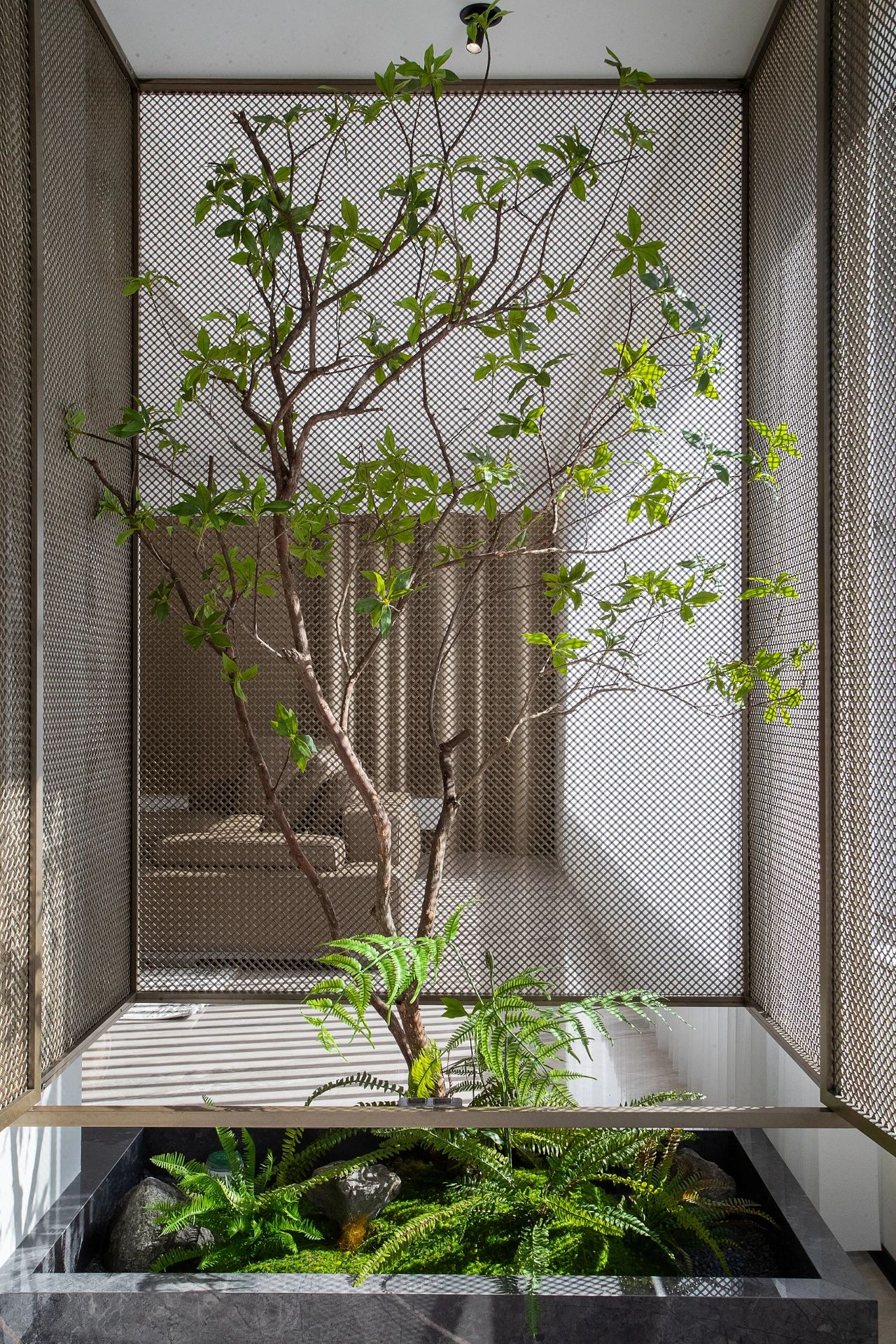 窗含千秋 一方疏影问茶西东丨中国潍坊丨龙涌建筑空间设计事务所,时运空间设计-0