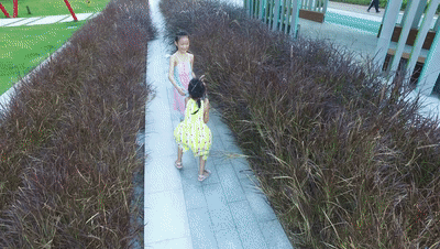 深圳龙华绿廊公园三期丨中国深圳-160