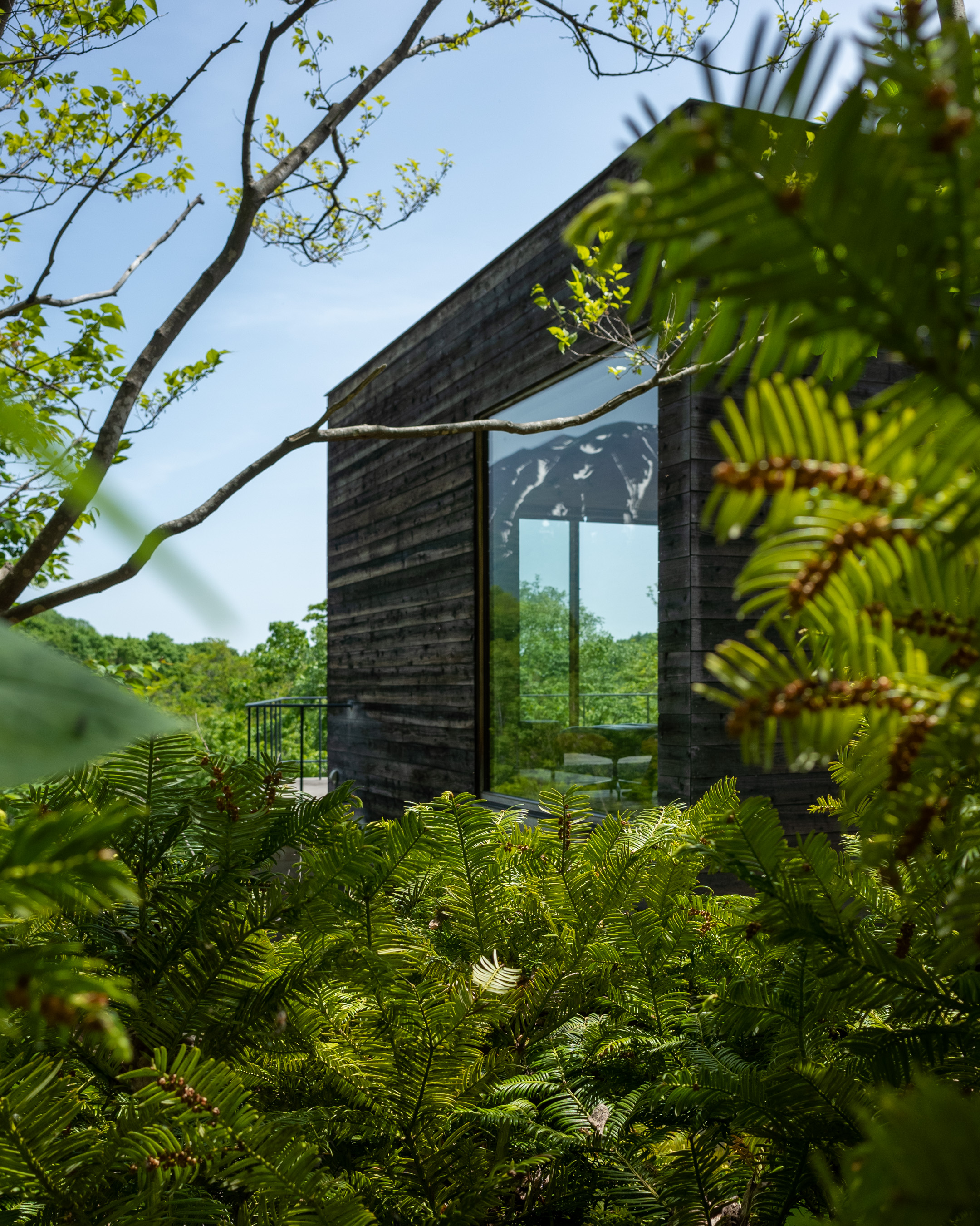 丨日本丨Florian Busch,Sachiko Miyazaki等-29