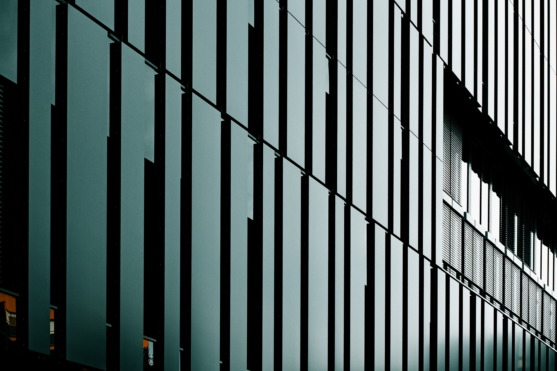 摄影作品丨作者本人-10