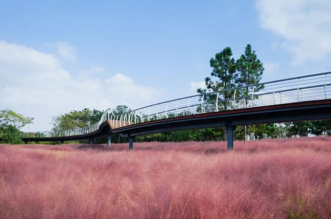 穿过喧嚣 走进时光·来高淳东坝看美丽乡村-15