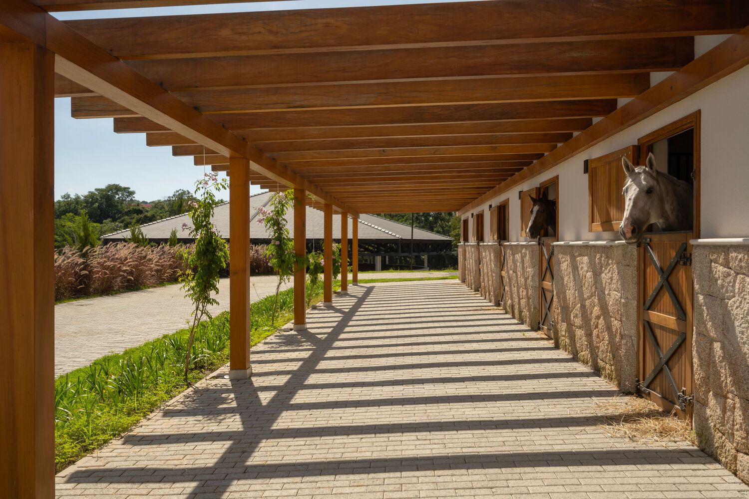 巴西 Haras DOM 马术的家庭提供服务站丨佩尔·卡瓦利·阿尔奎特图拉-21