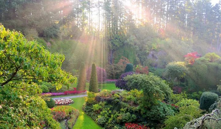 世界上最大的私家花园,迄今已有116年历史!-55