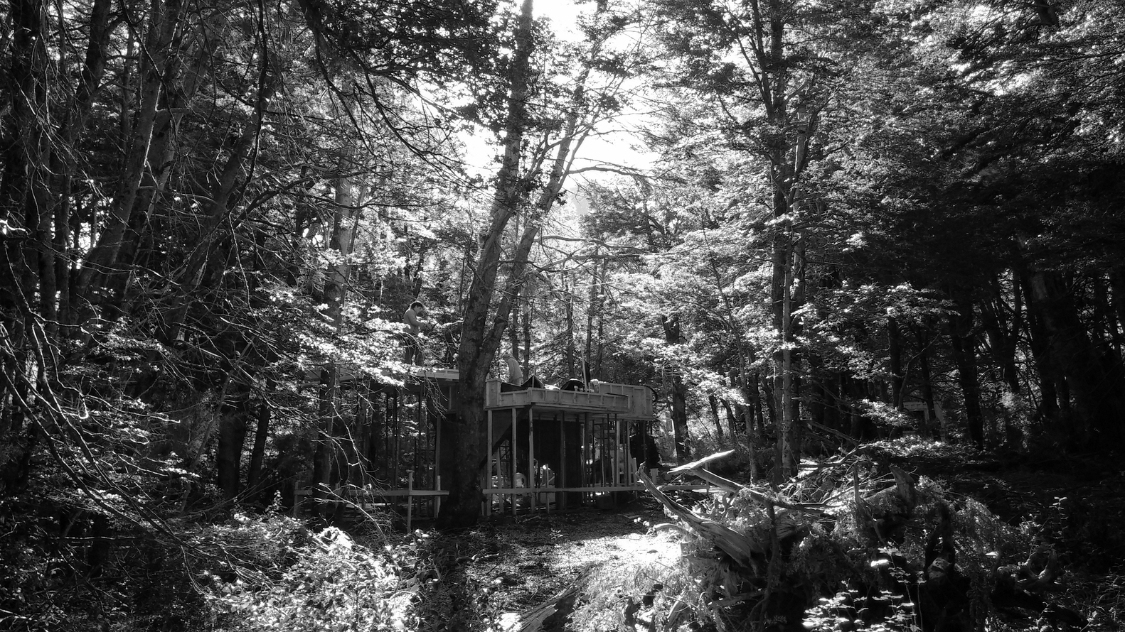 香格里拉小屋-39