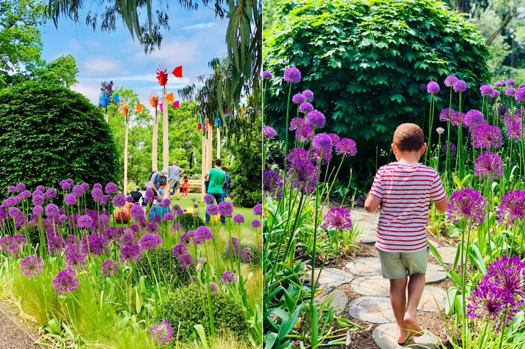 英国皇家植物园儿童花园丨Suzie Jewell-12