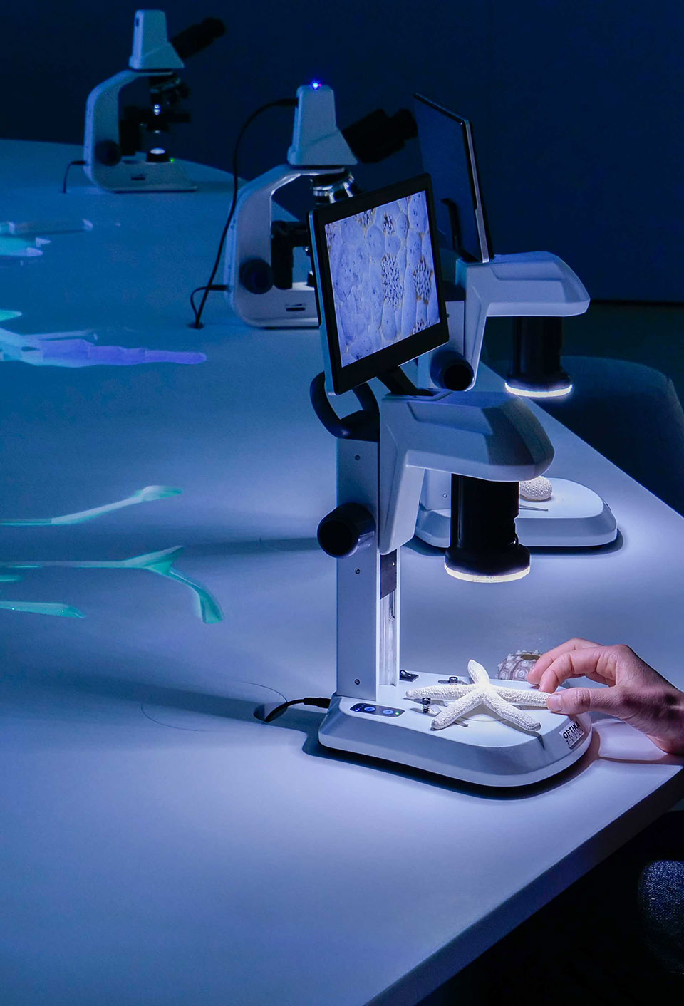 Ocean Intelligence展览丨意大利丨CRA-Carlo Ratti Associati-36