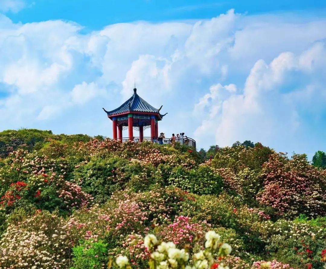 百里杜鹃天坑大草原户外探险,坡地运动项目丨中国毕节丨新空间集团-4