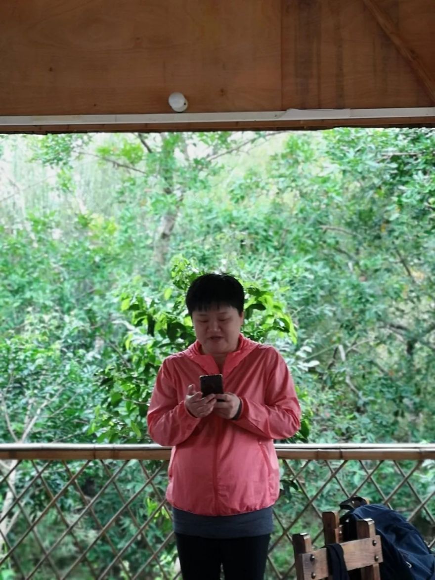 装配式建筑与春季温泉之旅-29