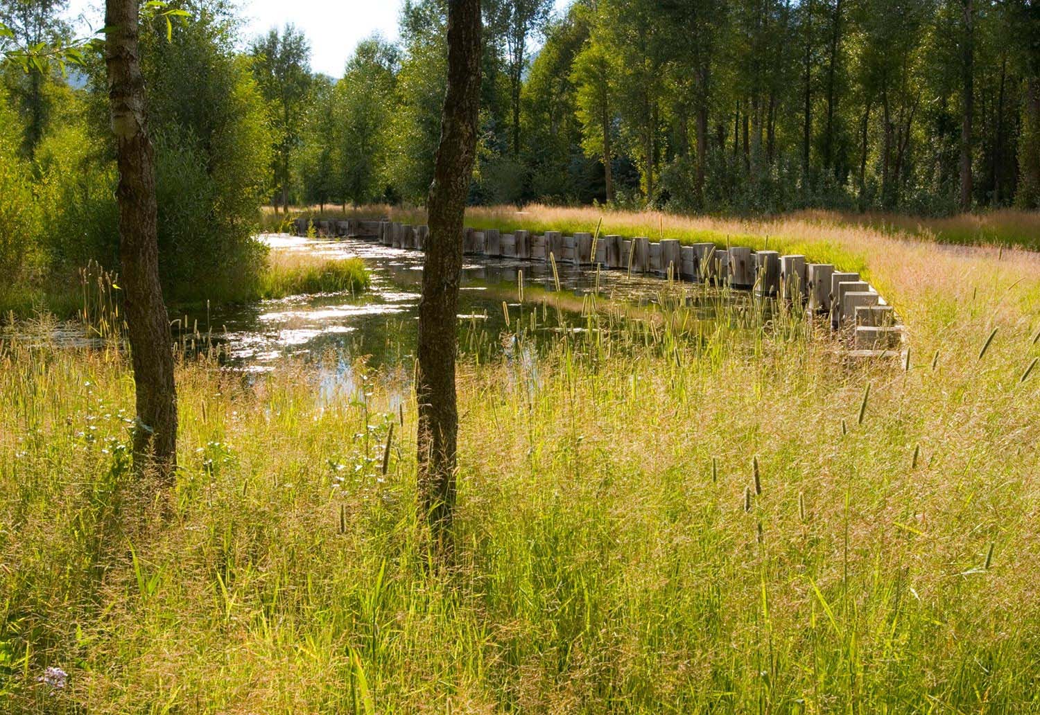 科罗拉多州生态住宅景观丨美国科罗拉多丨Verdone Landscape Architects-10