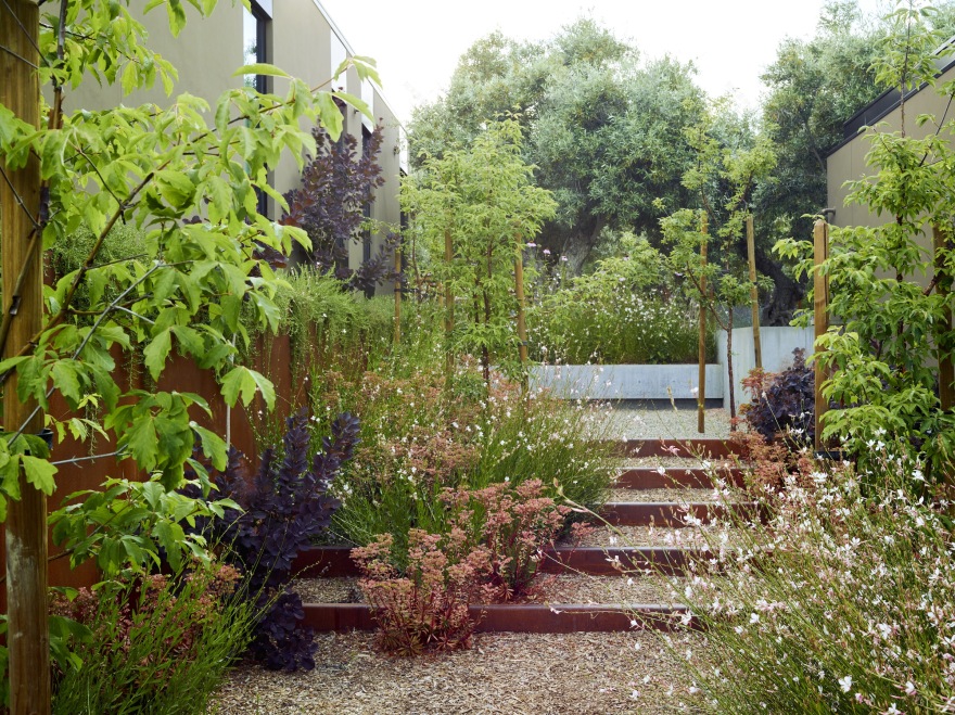 橄榄林住宅花园-54