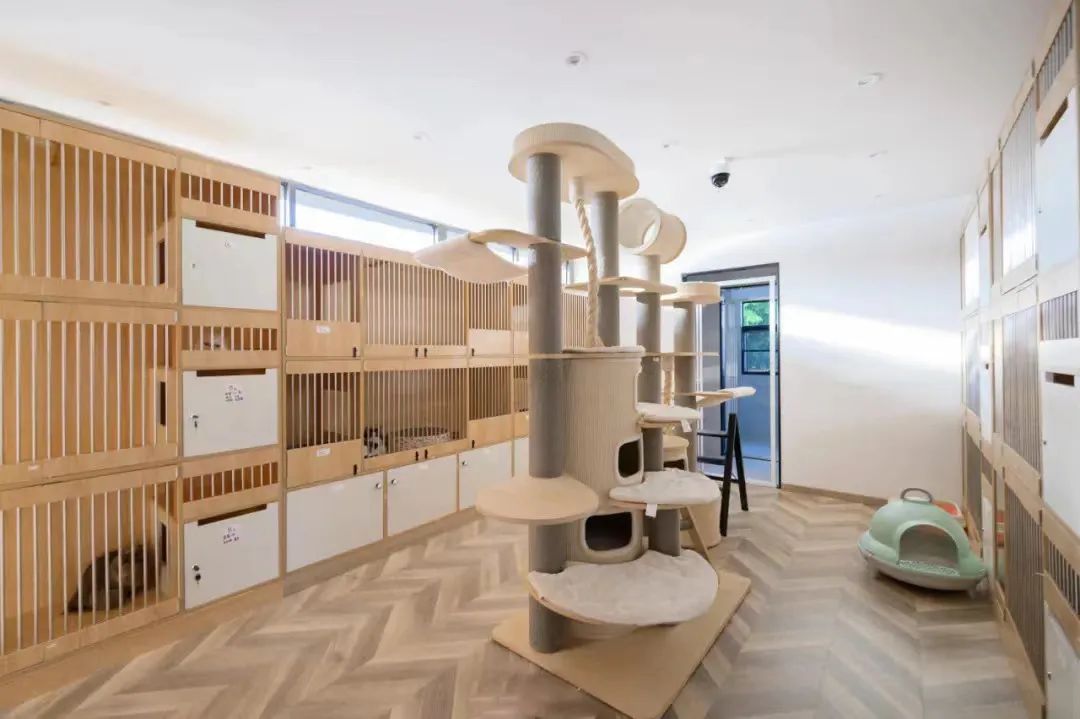 The PLS 请设计商店丨中国珠海丨匠一文化创意设计-46