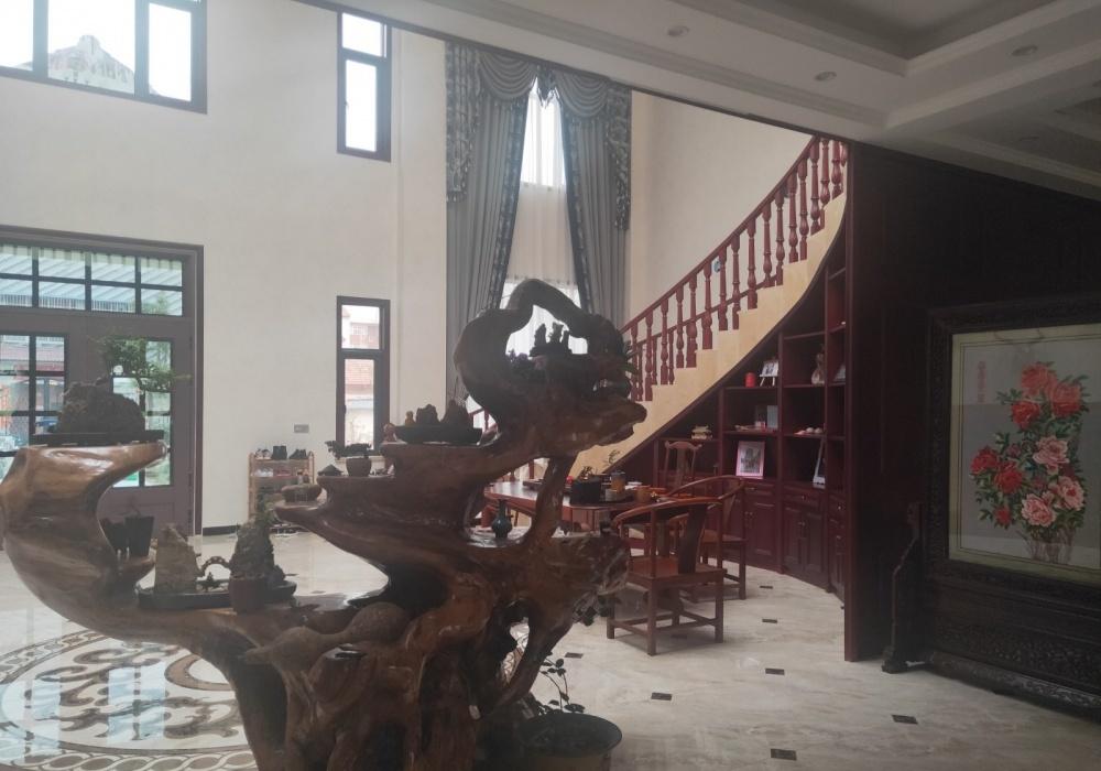 开封马家别墅-11