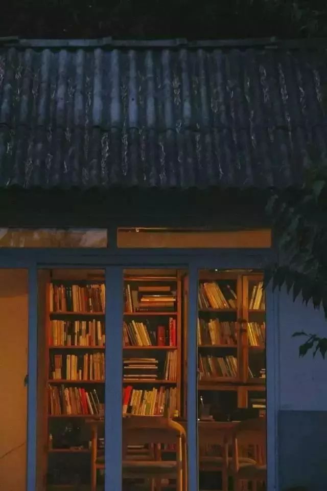 她徒手爆改废弃院子,三人一猫一狗,过着最诗意的生活!-107