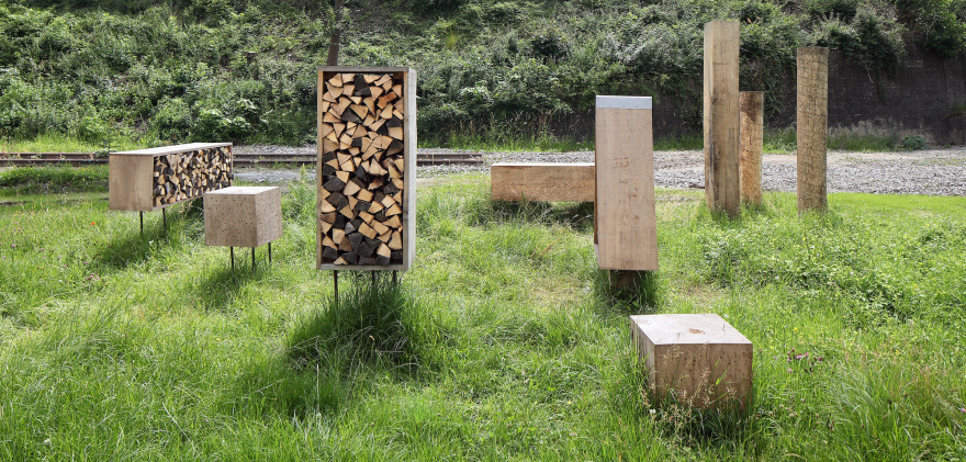 昆虫之城 · 城市里的动物家园-4