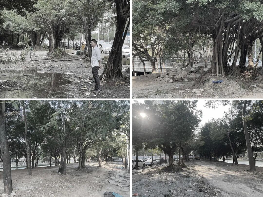 续写亚运荣光，激活滨水新篇|广州亚运公园-30