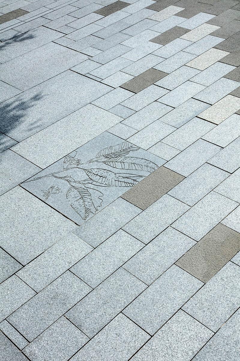 悉尼达令港公共空间丨澳大利亚悉尼丨HASSELL-52