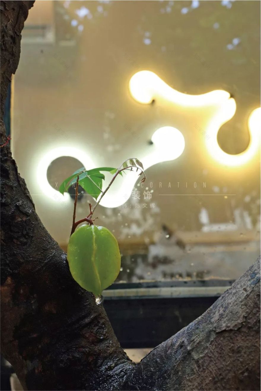 东莞新基古村 800 年老宅蜕变,现代设计融入自然古朴风-51