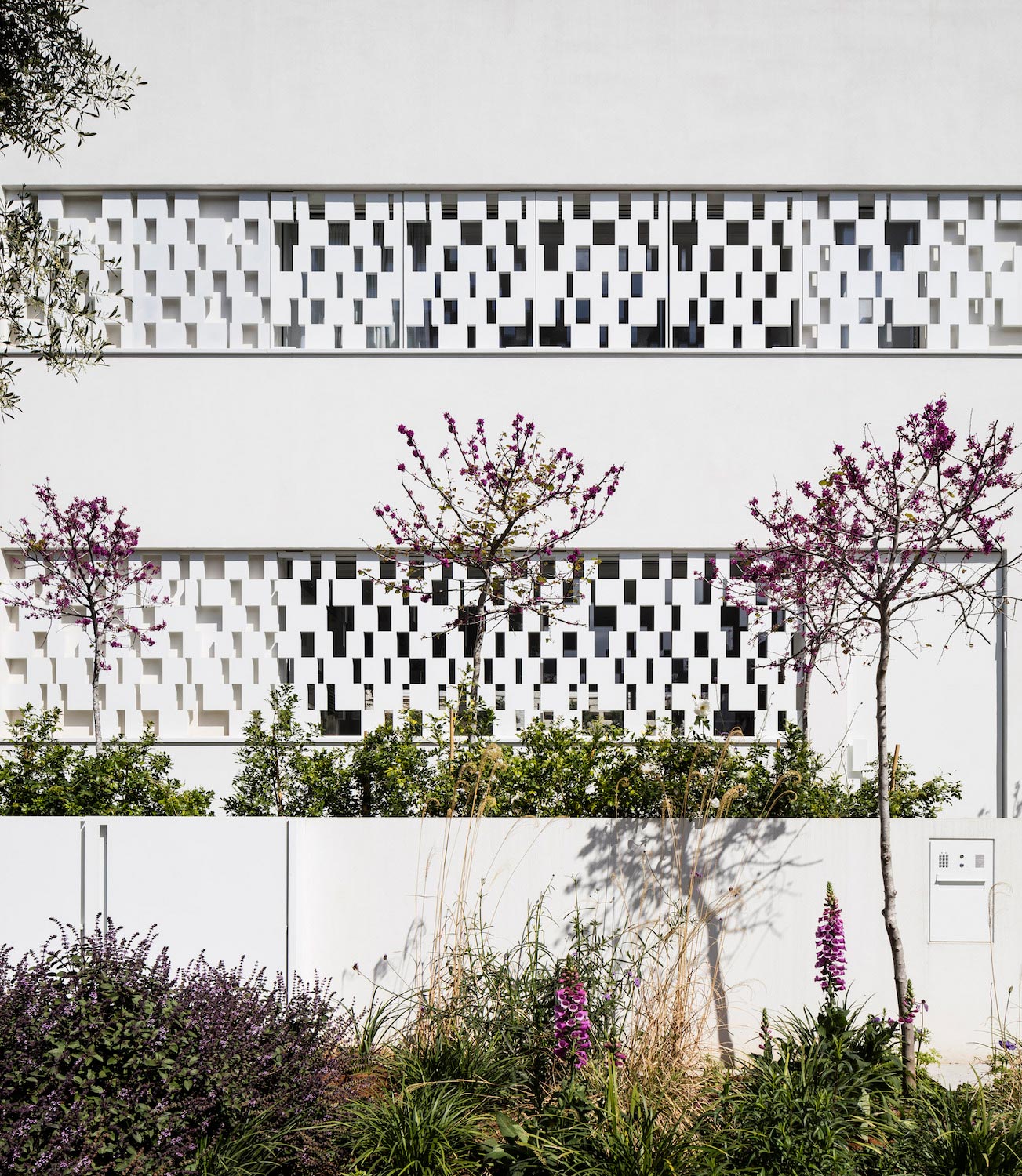 特拉维夫现代乡村之家-6