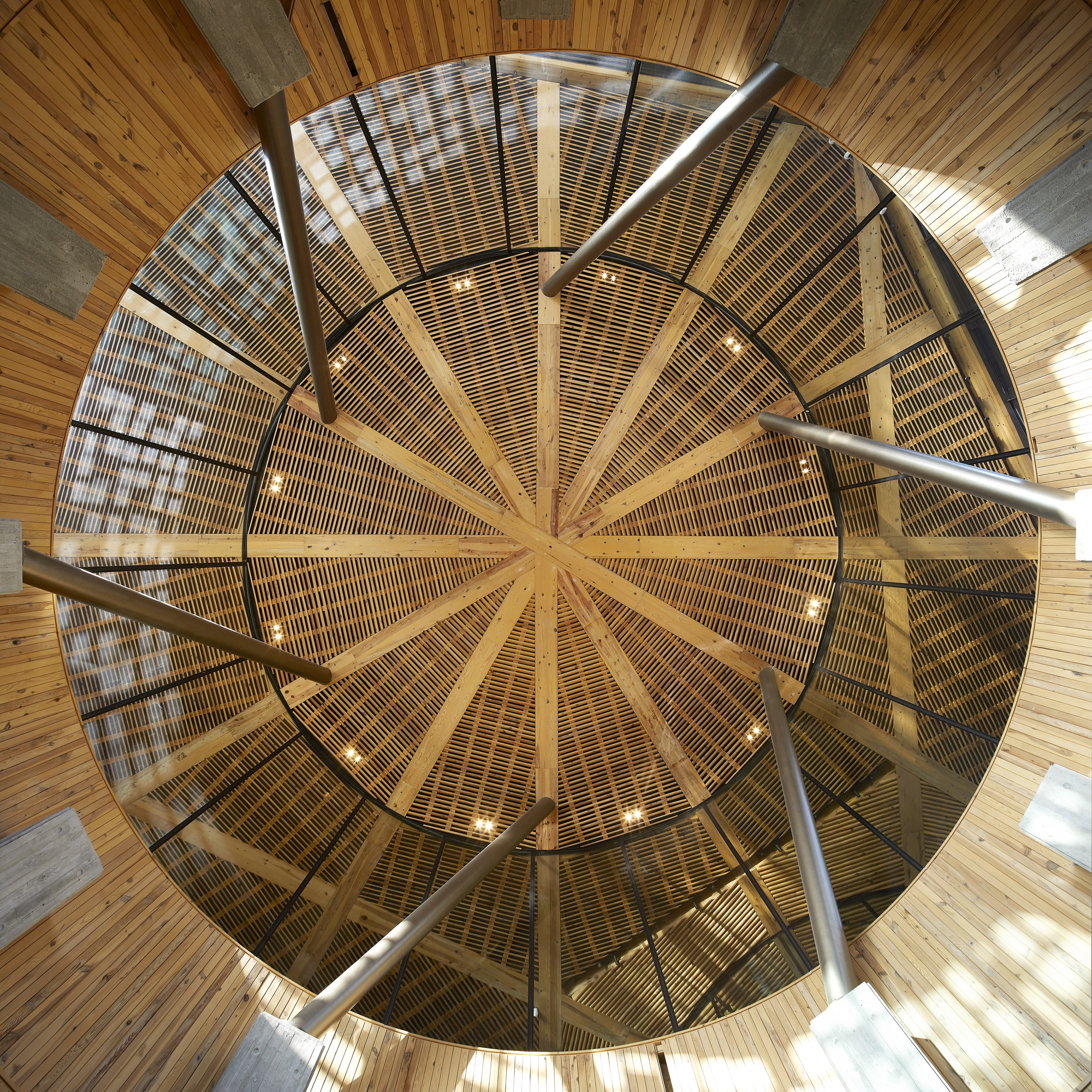 Lampadistis 葡萄酒酒厂丨塞浦路斯丨Eraclis Papachristou Architects-24