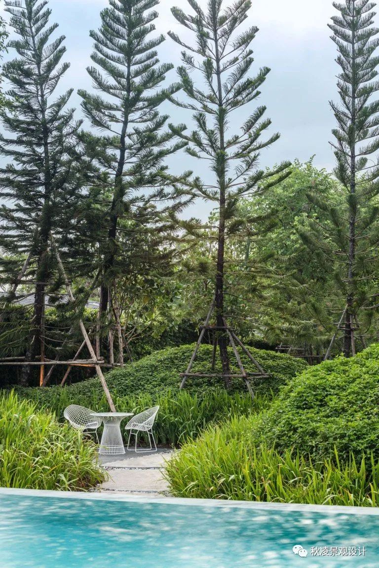 植物景观设计 | 创造优美的园林空间环境-9