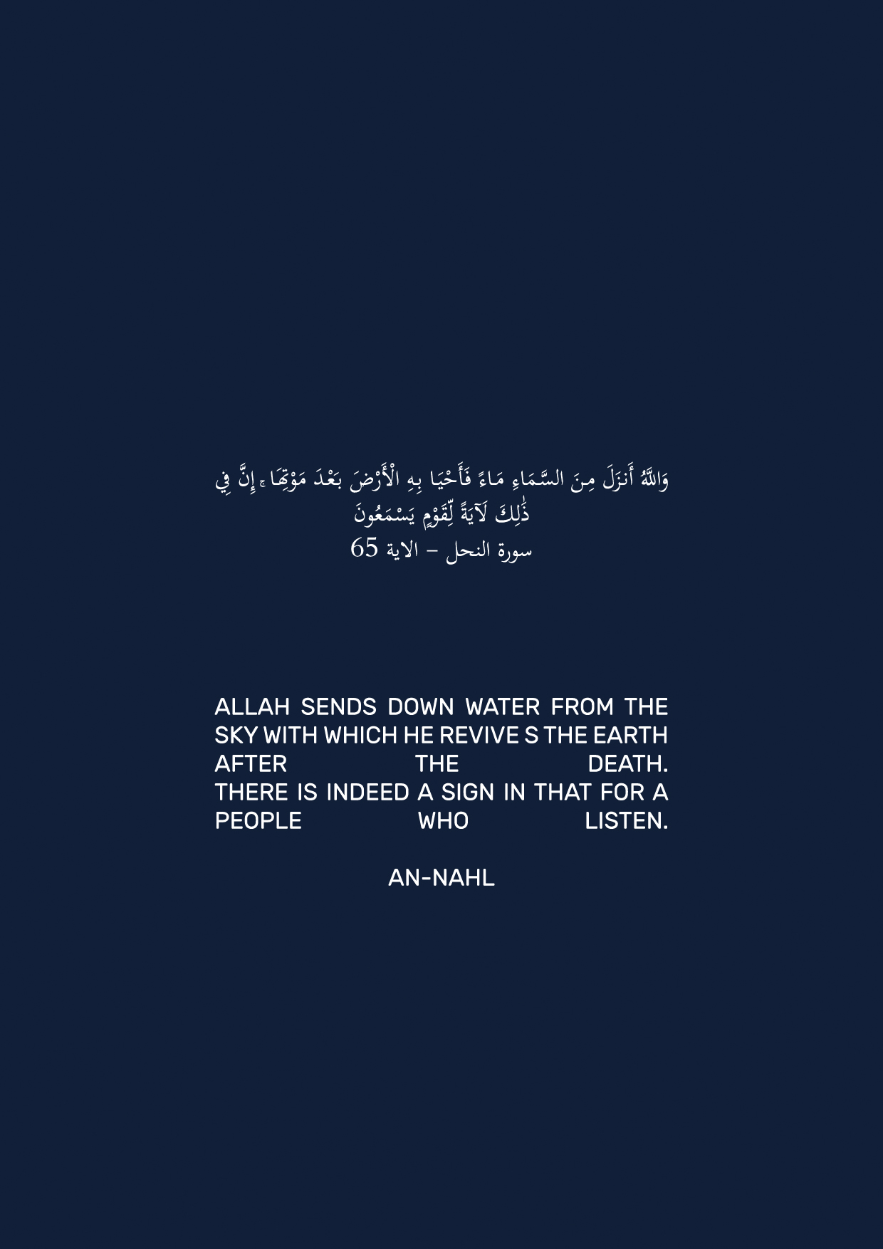 水利中心丨埃及丨DR:MOSTAFA ELZENI-10