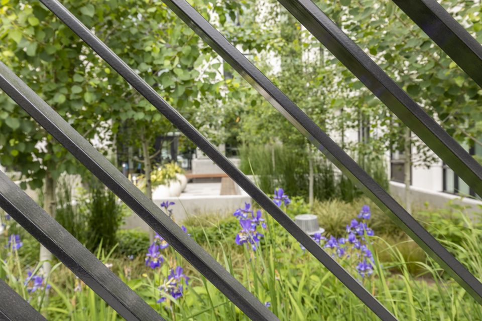 丨美国波特兰丨SD-12