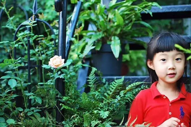 她在楼顶悄悄建了一座梦想花园，美翻了！这才是把日子过成诗的样子-32