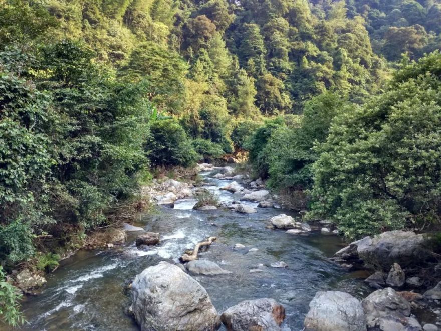 绥宁黄桑时光里民宿酒店丨中国邵阳-17