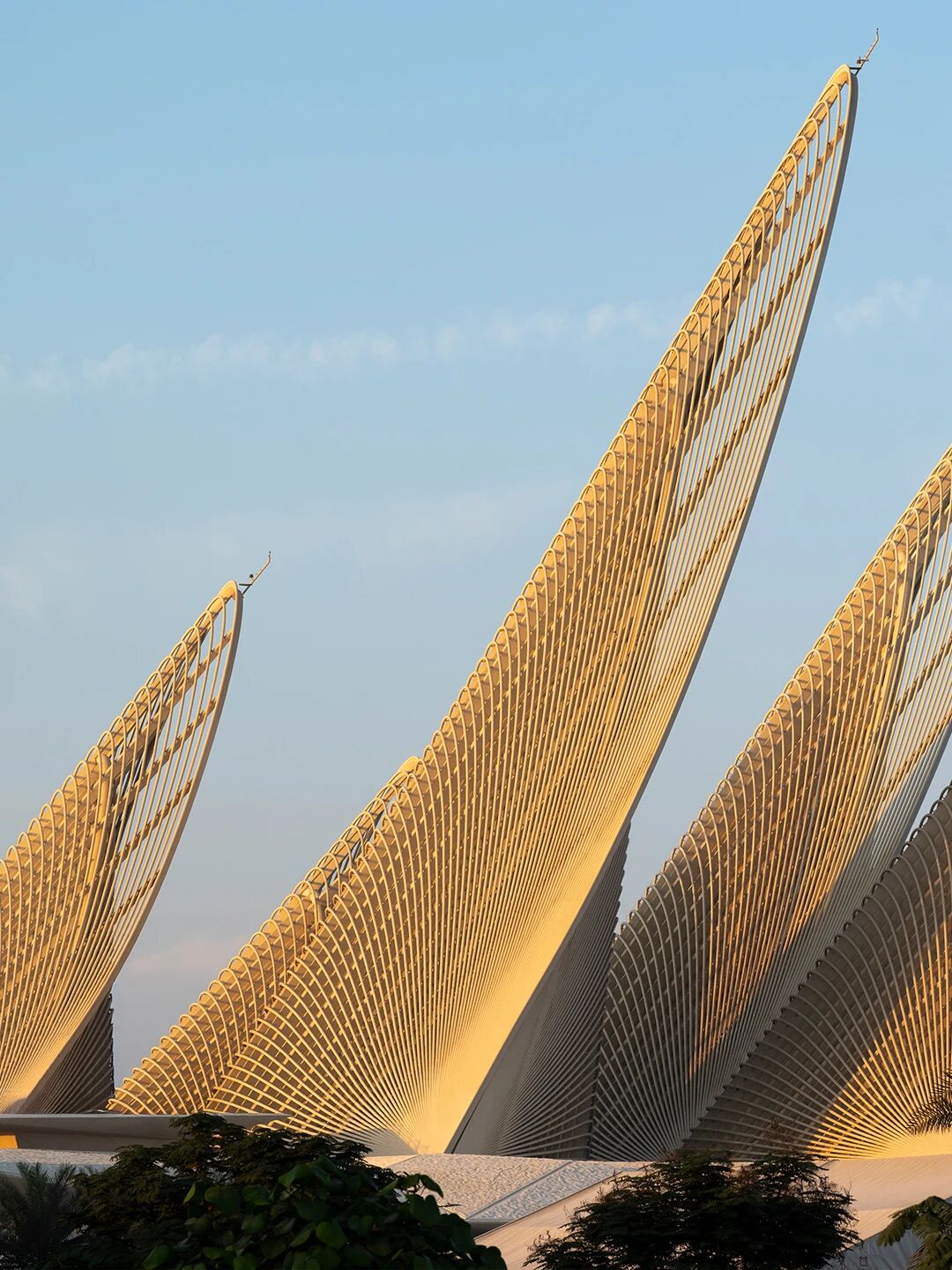 扎耶德国家博物馆丨阿联酋阿布扎比丨Foster Partners-1