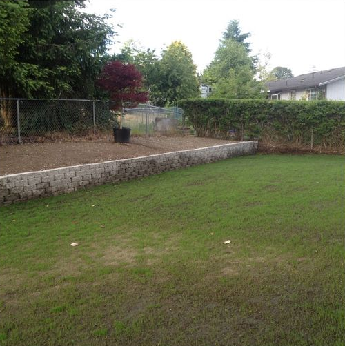 为Rachael女儿打造的秘密花园丨Rachael及其丈夫-11