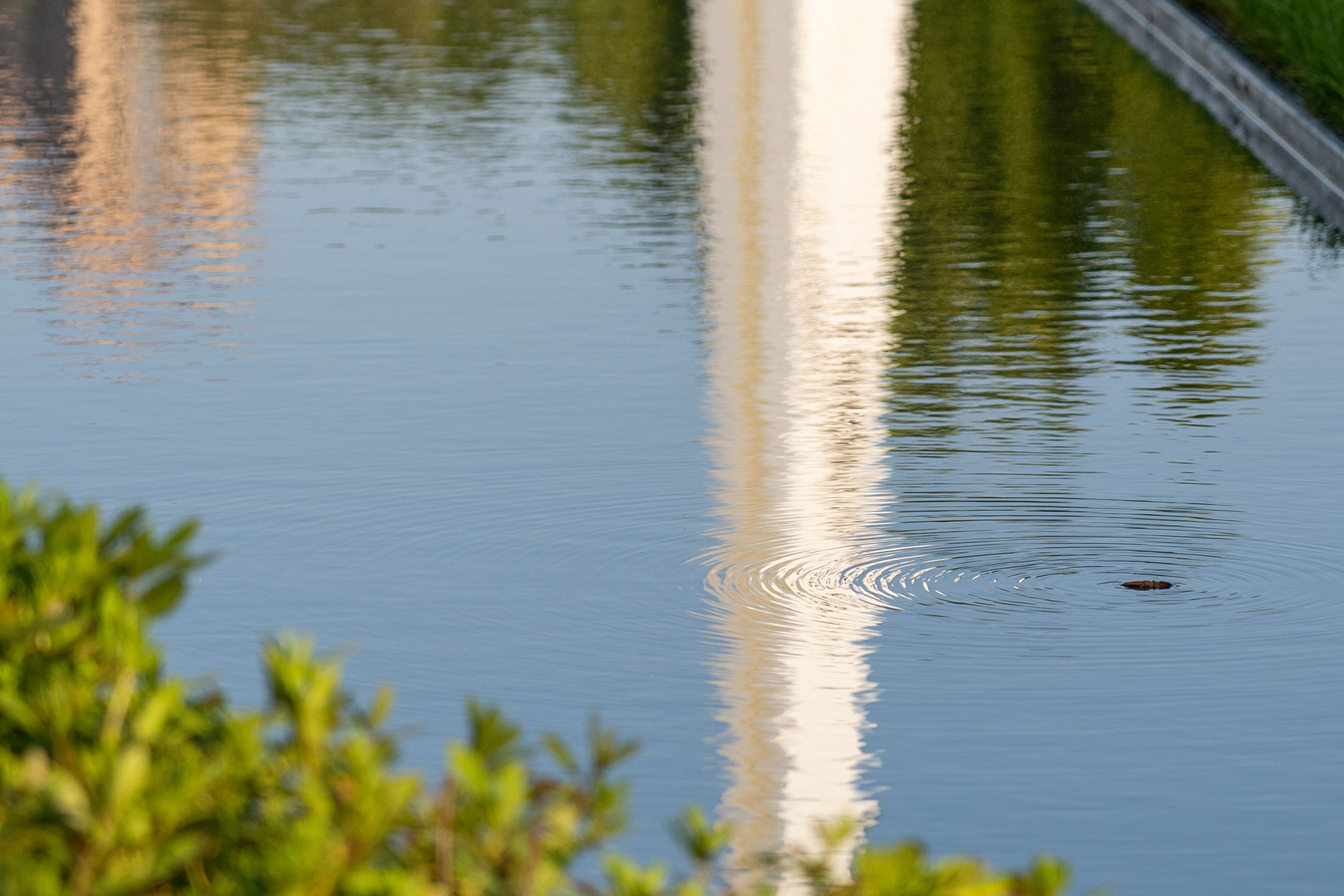乐陵·天泰城（示范区）-41