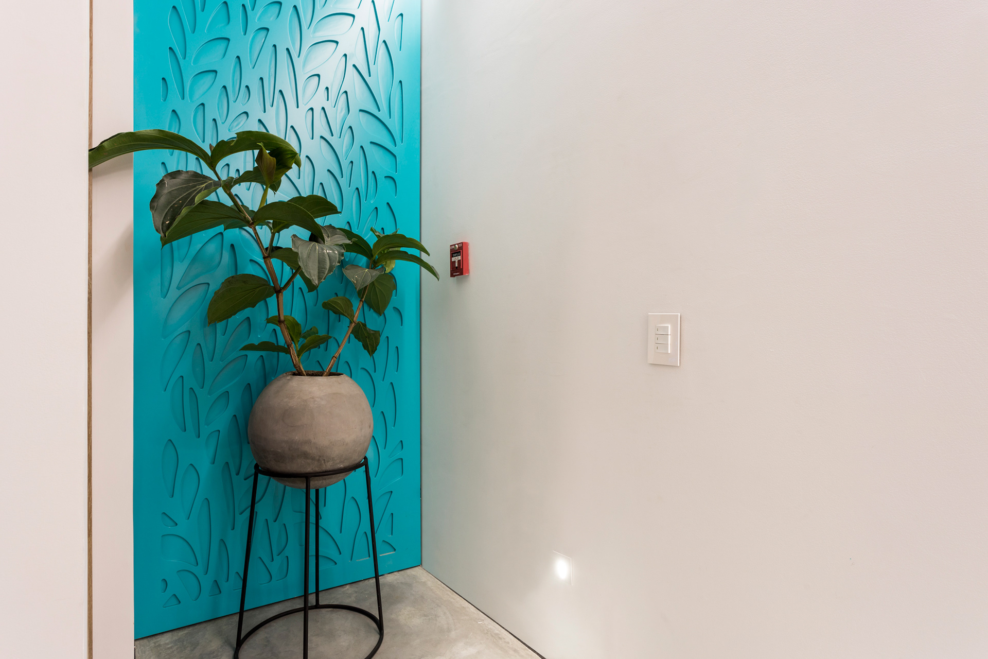 博斯凯托之家 3 号 曼陀罗丨哥伦比亚-38