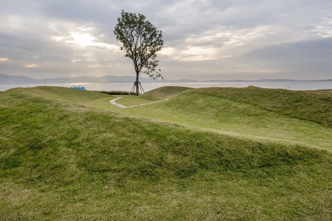 《雁归来》 | 水乡文化的现代解读-44