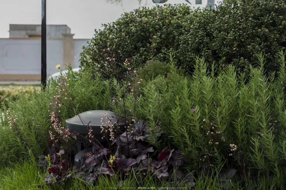 中南·珑悦府丨中国台州丨杭州木杉景观设计有限公司-64