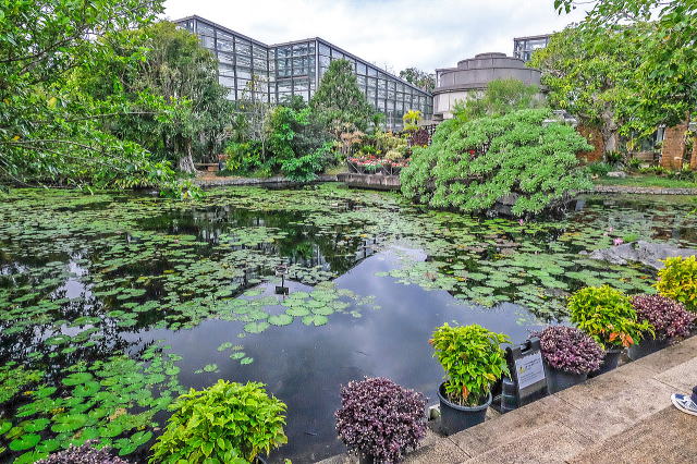 热带梦幻中心（海洋博公园内）丨日本冲绳-50