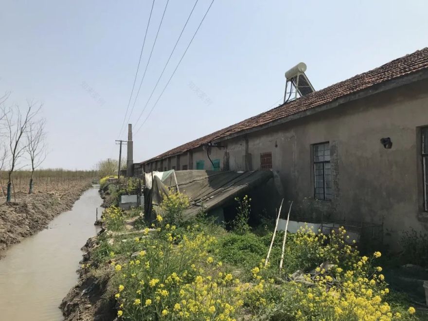 黄金晒谷场 · 俞挺打造凡人安乐乡的农耕记忆丨中国上海丨Wutopia Lab(建筑,景观)-11