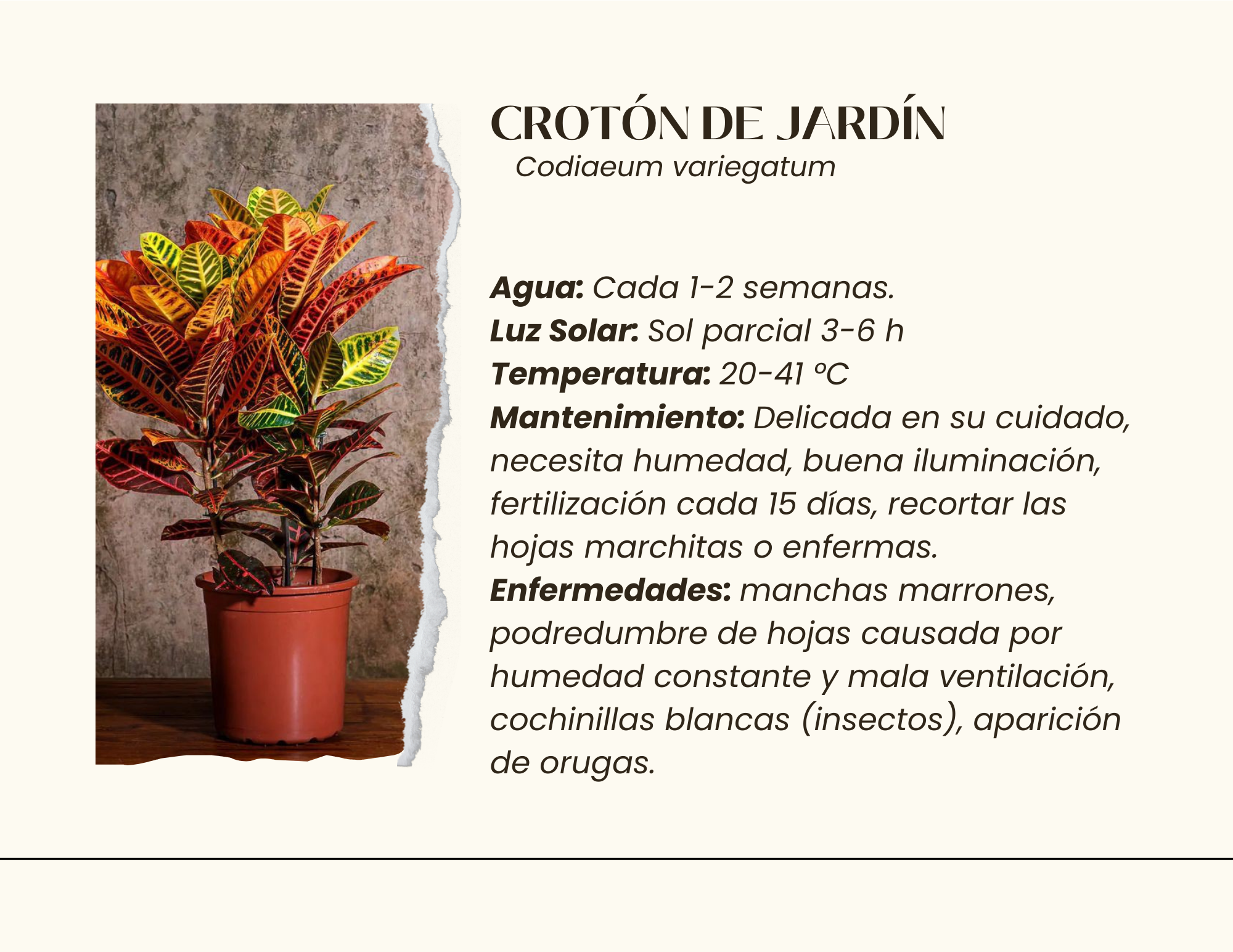 Serenidad en el Caos - Proyecto Paisajístico Interior-6