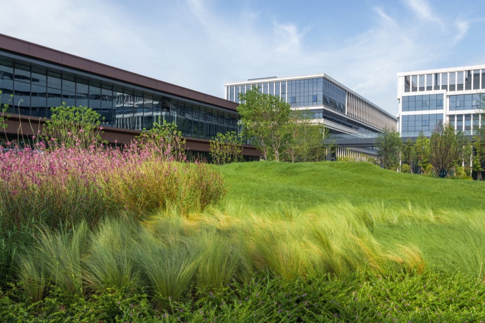 常州合全药业研发园区景观设计丨中国常州丨上海易栖建筑设计有限公司-17