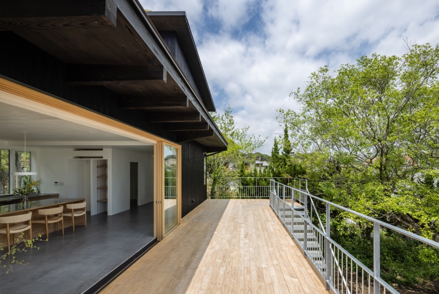 丨日本兵库丨lyhty-25