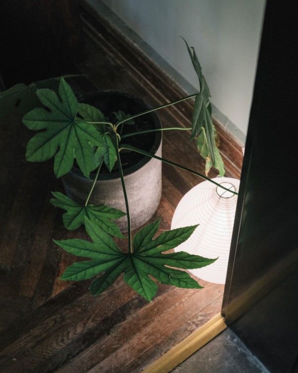 苏州园林艺术：打造400㎡的城市花园-20