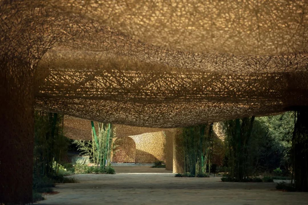 你以为竹子的极限和竹子真正的极限-39