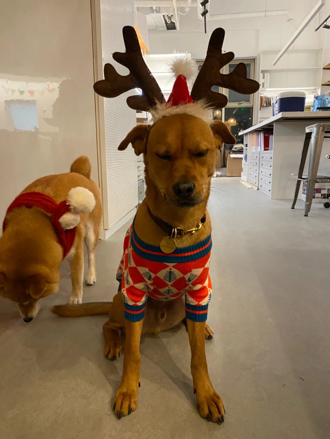 新办公室圣诞慈善派对丨中国上海丨Lukstudio-65