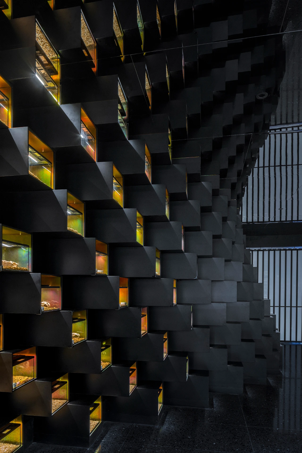 鳞动｜其鳞· 爬宠体验店丨谢几点设计事务所（中国•广州）-36