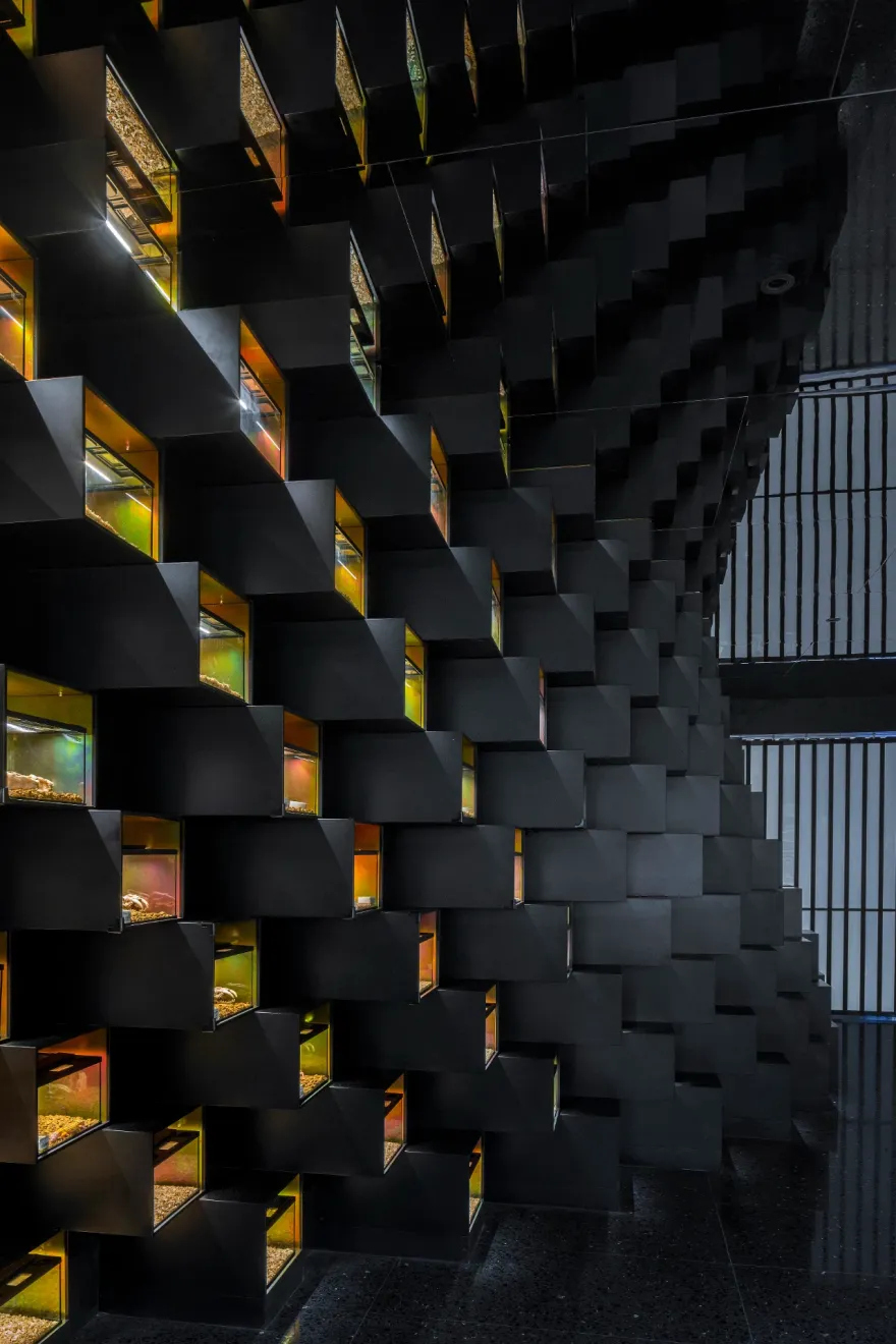 鳞动|其鳞· 爬宠体验店丨谢几点设计事务所(中国•广州)-36