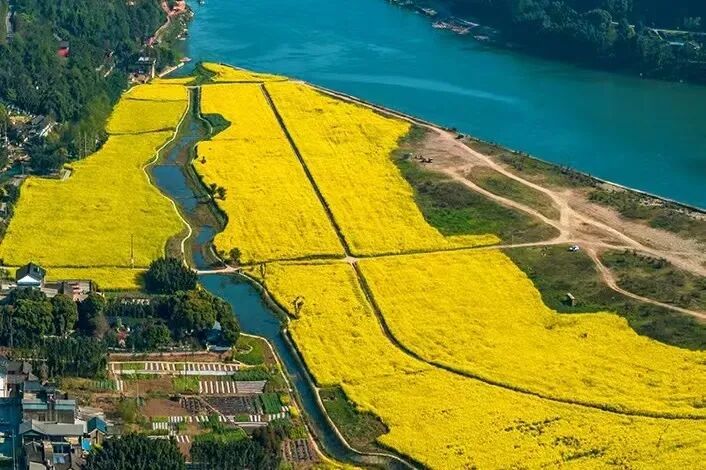 全域灌渠新面貌,中建八局这个项目为春耕送来“及时雨”-9