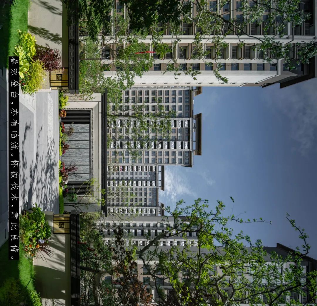 上海建发金玥湾丨中国上海丨LAURENT 罗朗景观,微木花境-7