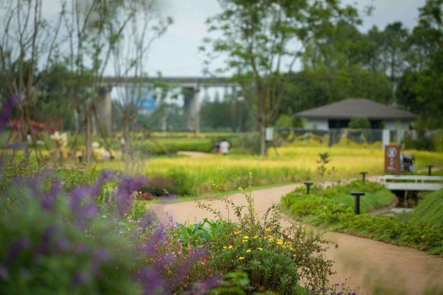 丘山阅田园文化村丨乐道景观-58