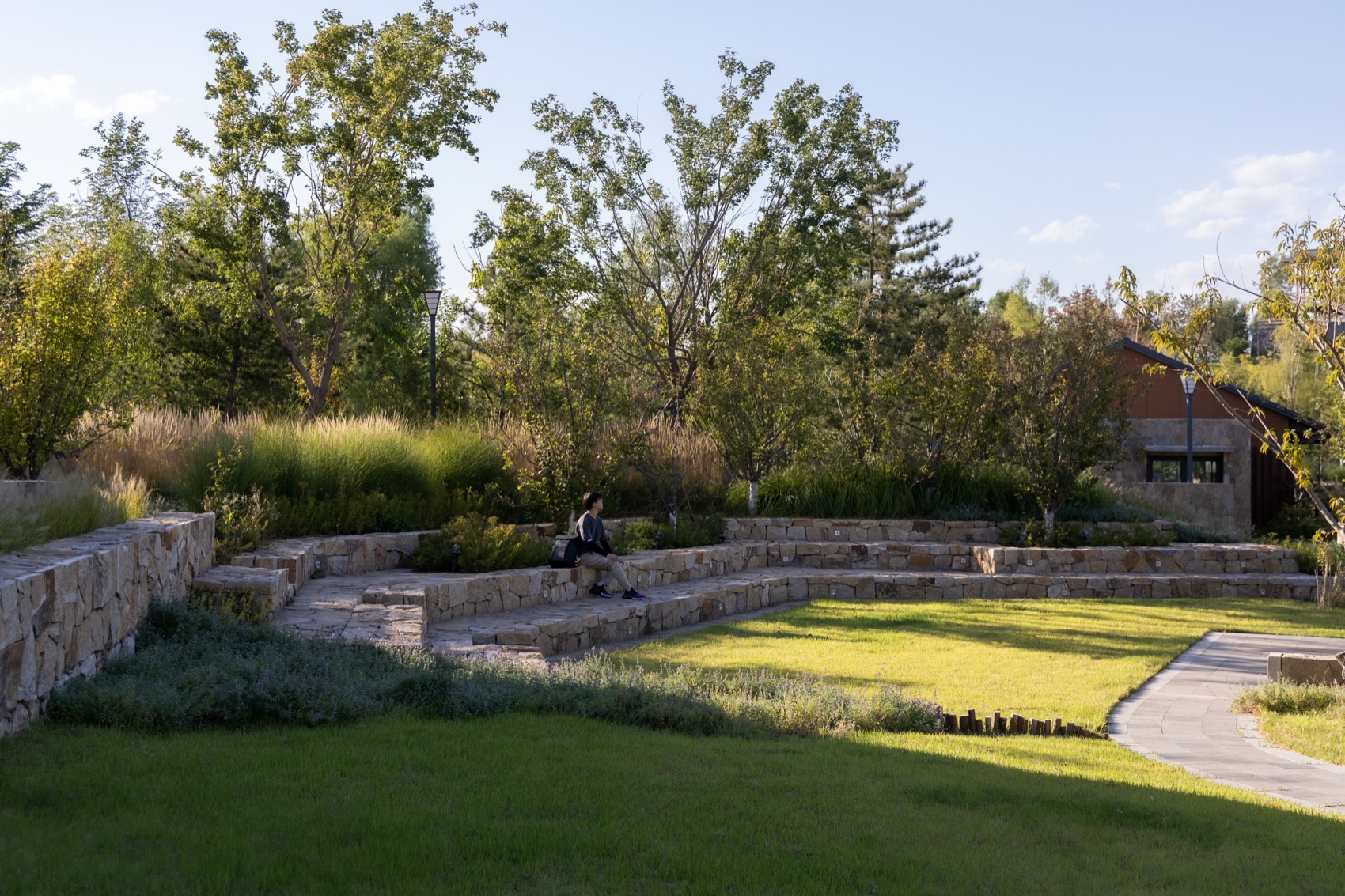 雄安新区悦容公园桃花园丨北京林业大学园林学院,北京多义景观规划设计事务所-25